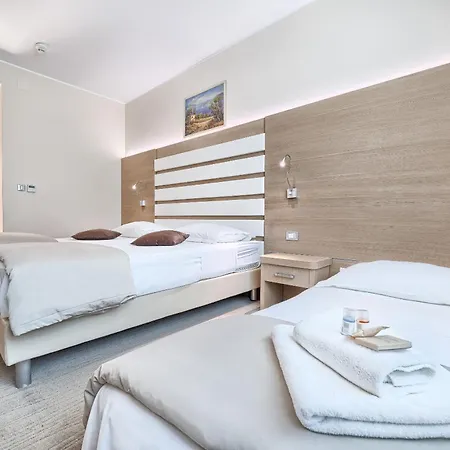 全景酒店 4* 希贝尼克