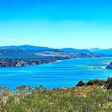Panorama 4*