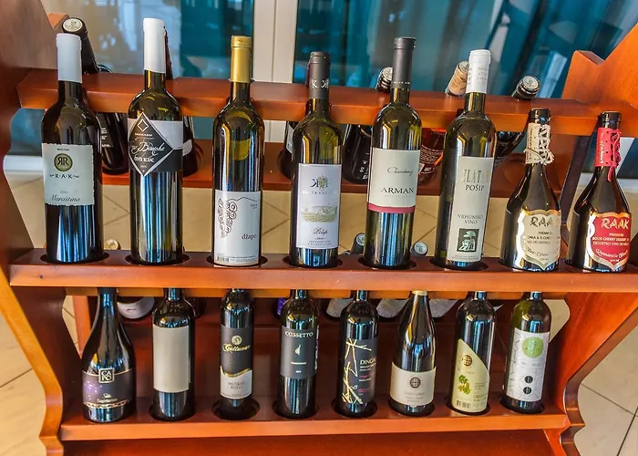 호텔 파노라마 4*